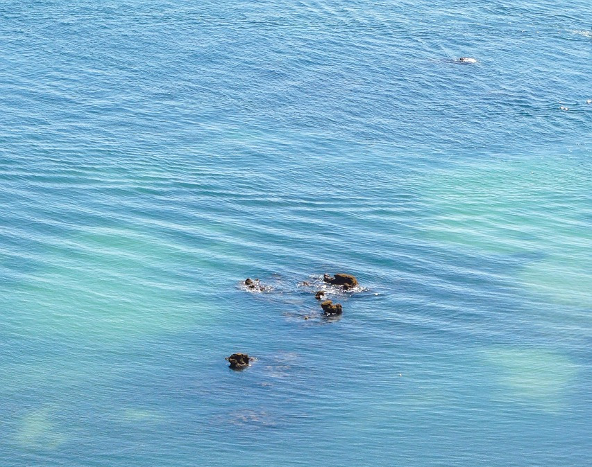 Algarve aerial coast economy